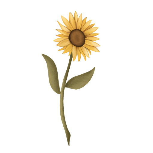cropped-Zonnebloem-met-steel.png cropped-Zonnebloem-met-steel.png